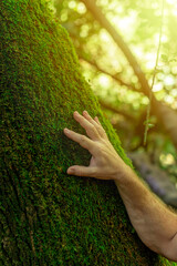 The hand of a man caressing the trunk of a tree. Love for nature. Environmental care