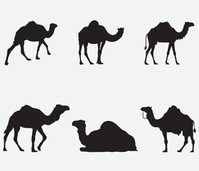 Silhouette,Desert,Travel,Animal,Black,Africa,African,Tourism,Wildlife,Safari,Zoo,Sahara,Camels,Symbol,Arab,Asia,Camel icon,Camel isolated,Camel silhouette free,Camel vector silhouette,Camels desert,Wi