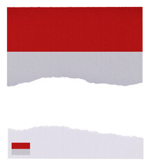 Monaco flag isolated on torn paper