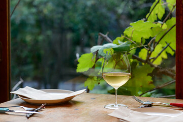 庭の緑が見えるレストランのテーブルの上に置いた白のグラスワイン、自然派ワイン、ヴァンナチュール