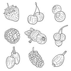Set of hand drawn berries ink style. Strawberry, cherry, blueberry, raspberry, gooseberry, currant, grape, mulberry, brier. For menu, recipe book, educational, coloring items design © Artimarti