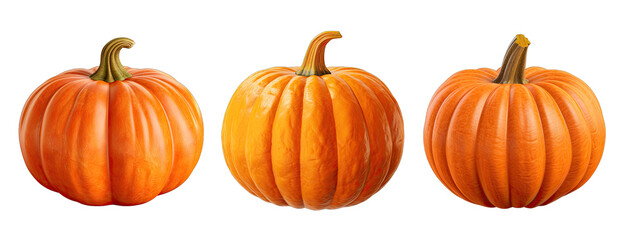 Set of pumpkins isolated on transparent background with clipping path for Halloween and thanksgiving