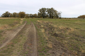 Fototapeta na wymiar A dirt road in a field