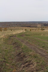 A grassy field with a few buildings