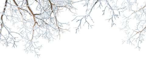Snow tree branch isolated on white background - obrazy, fototapety, plakaty