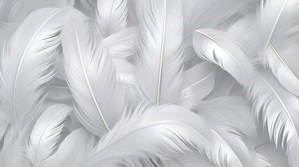 Fototapeta na wymiar white feathers background