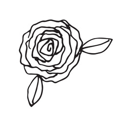Vector simple minimalistic doodle line art of black and white rose flower with lots of petals and leaves