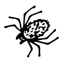 Spider sketch. Arthropod dangerous insect. Hand drawn illustration.