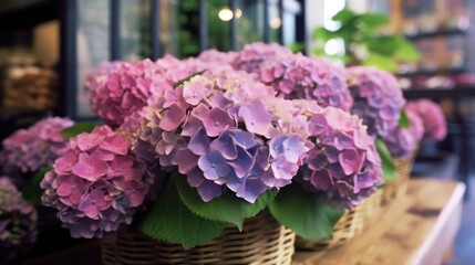 Colorful hydrangea flowers in the garden. Mother's day concept with a space for a text. Valentine day concept with a copy space.