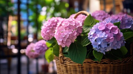 Colorful hydrangea flowers in a basket on the table. Mother's day concept with a space for a text. Valentine day concept with a copy space.
