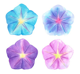 Watercolor Morning Glory flowers set, Blue, Candy Pink, Purple and Light Blue Blooming Morning Glory