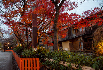 Gion,The district was built to accommodate the needs of travellers and visitors to the shrine.It...