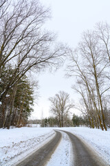 Fototapeta premium Snowy winter road in a mountain forest.