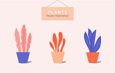 Houseplants vector illustration. Colorful set of houseplants in pots in flat cartoon style.