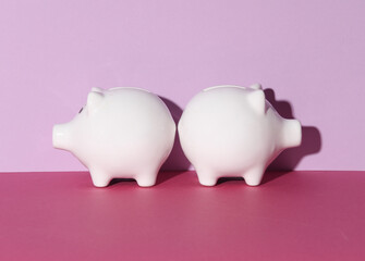 Two white ceramic piggy banks on a pink background with shadow