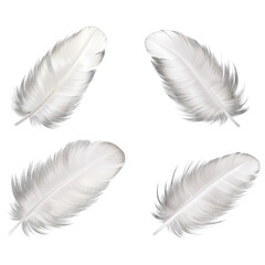 Set / Collection of white bird feathers isolated on transparent background cutout PNG