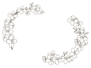 桜のフレーム　手描き　線画　線以外透過性