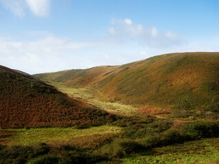 Autumnal view of landscape near Spekes Mill Mouth Beach, in Hartland, North Devon, UK