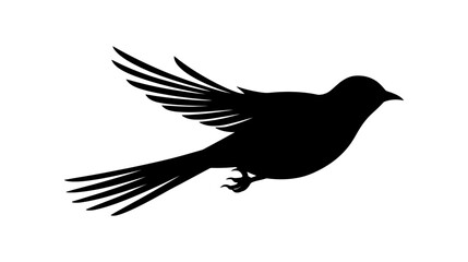 Black flying bird silhouette isolated on white background. Vector illustration.