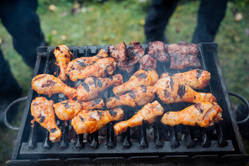 Grilled chicken legs, grilled poultry, food in nature, fried wings.