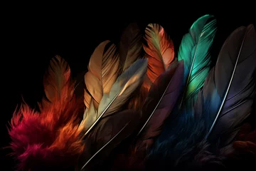 Tuinposter Colorful feathers on a black background. Close-up, macro © Ahsan ullah
