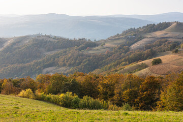 Fototapeta na wymiar Beautiful autumn trees view,fall countryside landscape with bright sky