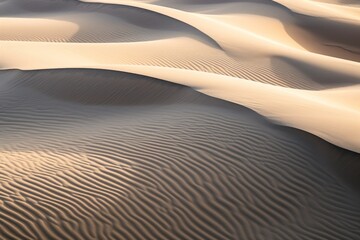 Fototapeta na wymiar Sand Dunes' Organic Patterns