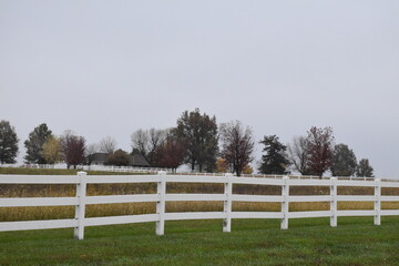 White Fence Row in a Farm Field