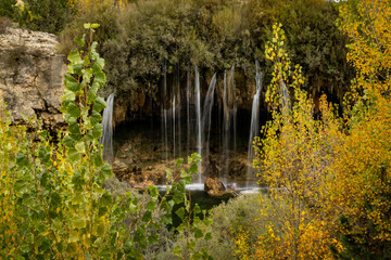 Fototapeta premium Change of colors of elm leaves in autumn (Albarracín Spain)