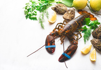 Fresh big lobster and oysters with ingredient for cooking. Lemon, olive oil, parsley, dill on the...