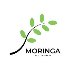 Moringa leaf logo vector simple illustration template icon graphic design