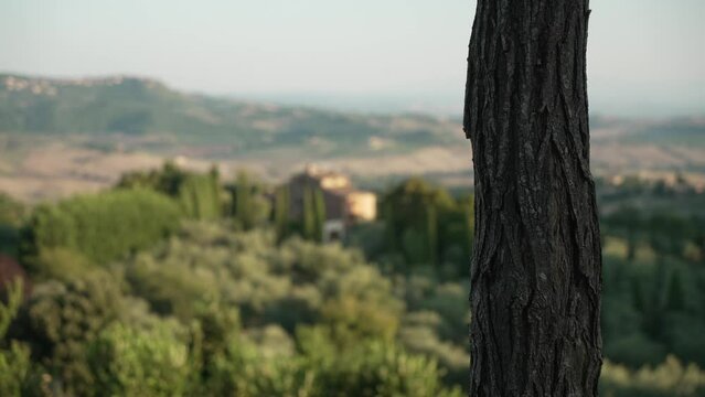 View of Tuscan landscape near Montepulciano, Montepulciano, Province of Siena, Tuscany, Italy