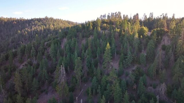 Scenic Los Padres National Forest Aerial Drone