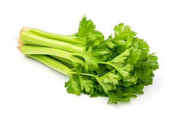 Closeup Fresh celery vegetable isolated on white background, food for health care concept