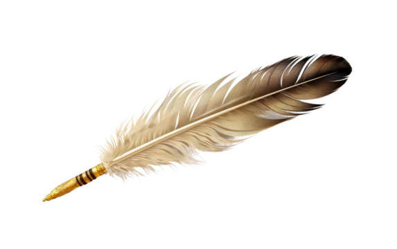 The Art of Calligraphy with Quill Pens on a Clear Surface or PNG Transparent Background.