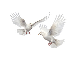 Two white doves are flying. Generative AI