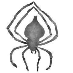 Halloween illustrations for any occasion