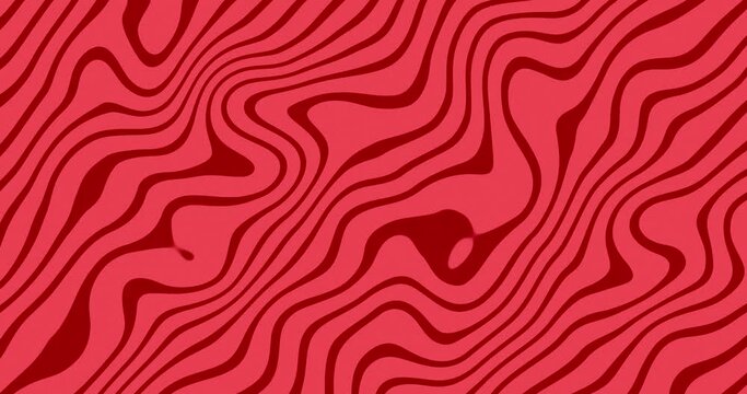 Wavy line motion graphic background. Abstract moving topographic map lines. Moving wavy line topology pattern red color background.