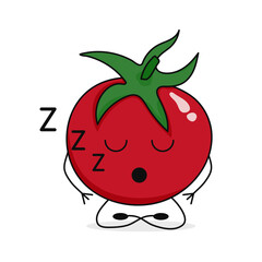 Сute little cartoon tomato fell fast asleep. Vector flat illustration isolated on white background.