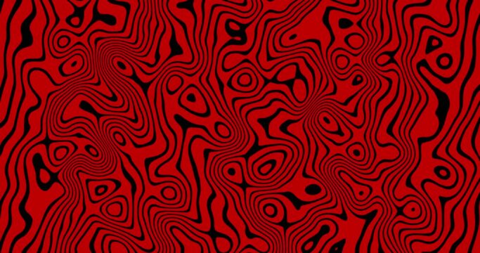 Seamless looped Abstract animated wavy line motion graphic background. Abstract moving topographic map lines. Moving wavy black line striped pattern over red color background.