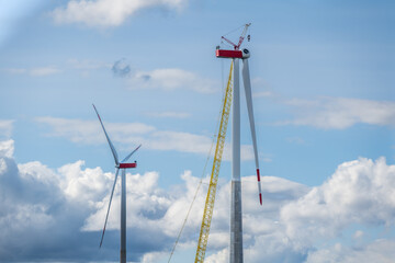Fototapeta premium Windräder