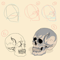five stages of how to draw a human skull