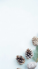 Cones and pine branches on a white background. christmas card.