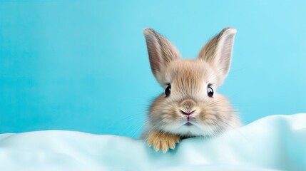  a small rabbit is peeking out from behind a blanket on a blue background.  generative ai