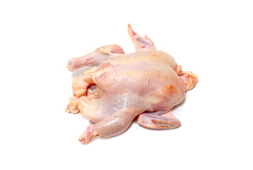 Chicken carcass on a white background.