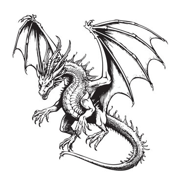 Dragon attacker, hand drawn sketch Vector illustration Wild animals