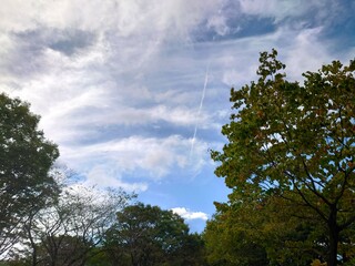 landscape with sky and clouds