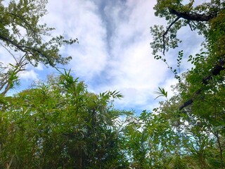 landscape with sky and clouds