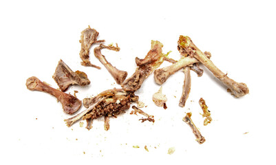 chicken bones on a white background.