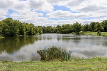 The beautiful lake in the park on a sunny day.